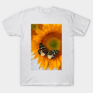 Iridescent Butterfly On Sunflower T-Shirt